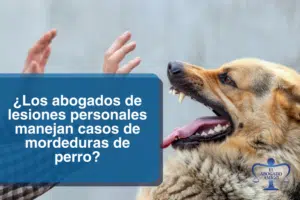 ¿Los Abogados De Lesiones Personales Manejan Casos De Mordeduras De Perro?